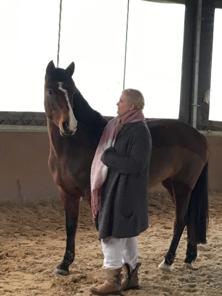 Séance Equicoaching