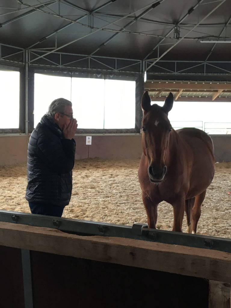 Séance Equicoaching