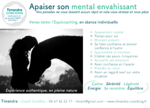 MENTAL ENVAHISSANT