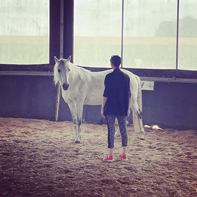 EF26DD34-CA3D-43B1-9BCE-268F77F1EDF4