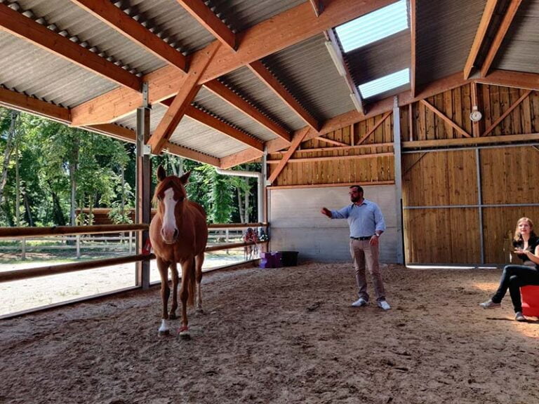 Séance d'Equicoaching