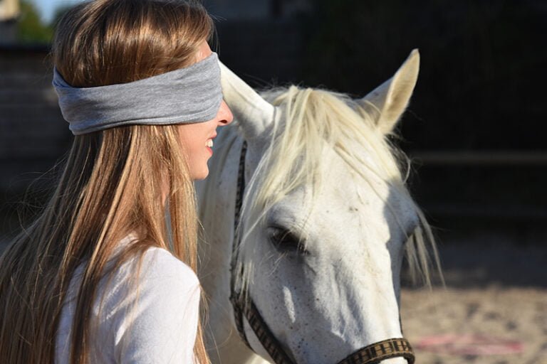 Domaine de l_Espe╠ürance - Se╠üminaires entreprise 52