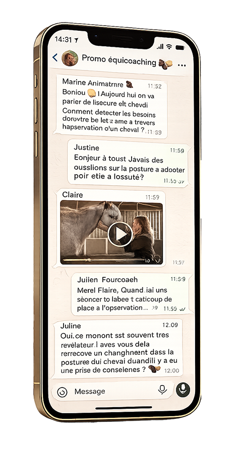 Groupe Whatsapp Formation Equicoaching